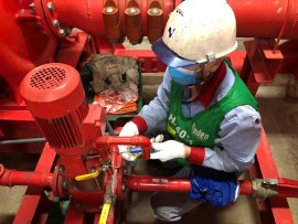 THAY ĐẦU MÁY BƠM TRỤC ĐỨNG CÔNG NGHIỆP: KHI NÀO CẦN THAY VÀ LƯU Ý QUAN TRỌNG