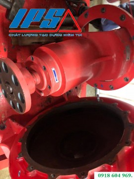 MÁY BƠM PHÁT TIẾNG ỒN LỚN CÓ NÊN THAY ĐẦU BƠM.