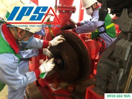 IPS TƯ VẤN THAY ĐẦU MÁY BƠM PHÙ HỢP TỪNG NHU CẦU.