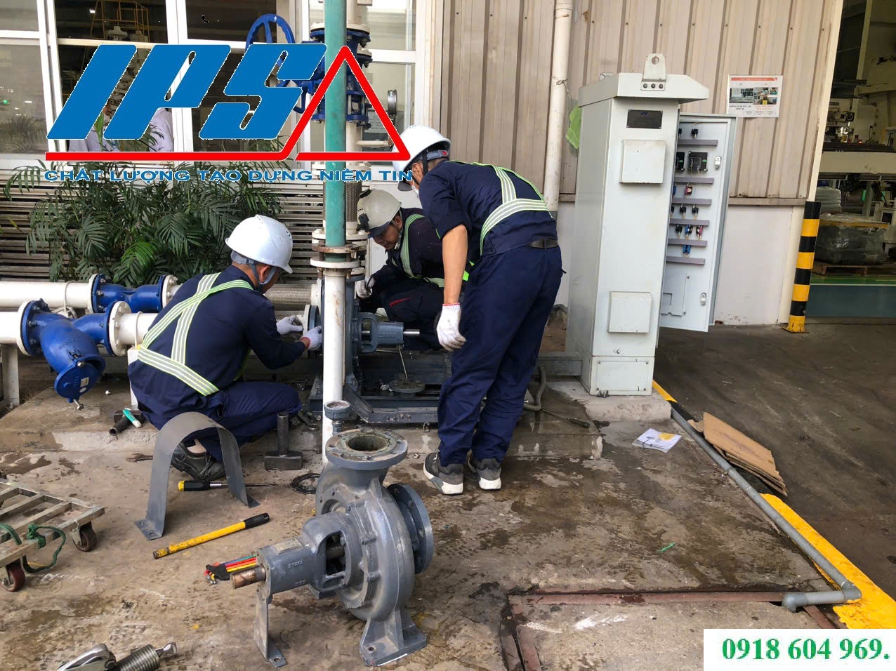 IPS THAY ĐẦU MÁY BƠM CÔNG NGHIỆP NHANH CHÓNG, AN TOÀN.
