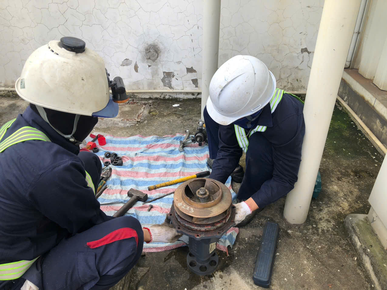 IPS – ĐƠN VỊ THAY ĐẦU MÁY BƠM UY TÍN, CHUYÊN NGHIỆP.