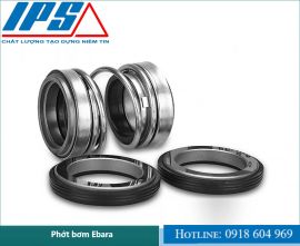 NHỮNG LƯU Ý KHI MUA PHỚT MÁY BƠM CHÌM EBARA TẠI BÌNH DƯƠNG.