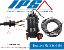 IPS – NHÀ CUNG CẤP DÂY NGUỒN BƠM CHÌM ĐÁNG TIN CẬY CHO NHÀ MÁY NHẬT, HÀN TẠI HẢI PHÒNG.