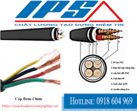 IPS – ĐỐI TÁC BẢO TRÌ DÂY NGUỒN CHO HỆ THỐNG BƠM CÔNG NGHIỆP TẠI HẢI DƯƠNG.