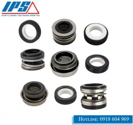 PHÂN PHỐI PHỚT BƠM TERAL CHẤT LƯỢNG, GIÁ TỐT TẠI BÌNH DƯƠNG.