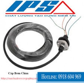 IPS – ĐỐI TÁC KỸ THUẬT TIN CẬY CỦA CÁC NHÀ MÁY SỬ DỤNG DÂY NGUỒN MÁY BƠM CHÌM EBARA.