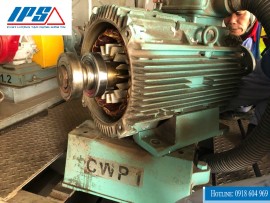 IPS - DỊCH VỤ KIỂM TRA MÁY BƠM CÔNG NGHIỆP UY TÍN, CHUYÊN NGHIỆP TẠI HẢI PHÒNG.