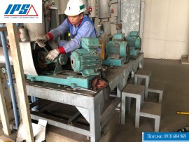 DỊCH VỤ BẢO TRÌ VÀ SỬA CHỮA BƠM CÔNG NGHIỆP 24/7 IPS TẠI HẢI DƯƠNG.
