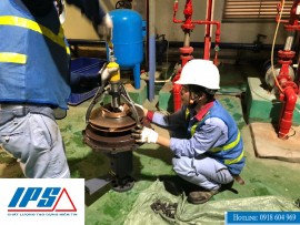 BẢO DƯỠNG ĐỊNH KỲ CÁNH BƠM WILO THEO KHUYẾN NGHỊ IPS.