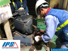 IPS BẢO TRÌ MÁY BƠM WILO CHUYÊN NGHIỆP CHO CÁC NHÀ MÁY TẠI KCN MỸ XUÂN – BÀ RỊA – VŨNG TÀU.