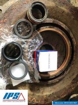 TẠI SAO NÊN BẢO TRÌ BƠM WILO 3–6 THÁNG/LẦN TRONG MÔI TRƯỜNG CÔNG NGHIỆP.