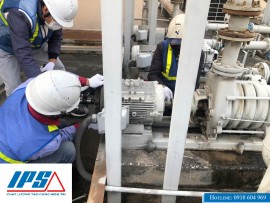  DỊCH VỤ SỬA CHỮA MÁY BƠM CÔNG NGHIỆP IPS – AN TOÀN VÀ NHANH CHÓNG.