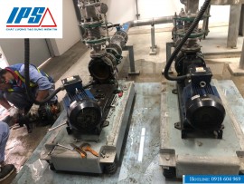 DỊCH VỤ CĂN CHỈNH IPS – PHỤC HỒI HIỆU SUẤT MÁY BƠM CÔNG NGHIỆP.