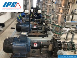 BẢO TRÌ WILO TRONG NHÀ MÁY THỰC PHẨM.