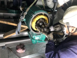 IPS BẢO TRÌ MÁY BƠM WILO TRỤC ĐỨNG CHO NHÀ MÁY SẢN XUẤT NHẬT BẢN.