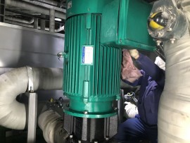 ỨNG DỤNG CÔNG NGHỆ ĐO RUNG – CÂN BẰNG ĐỘNG HIỆN ĐẠI TRONG BẢO TRÌ BƠM WILO.