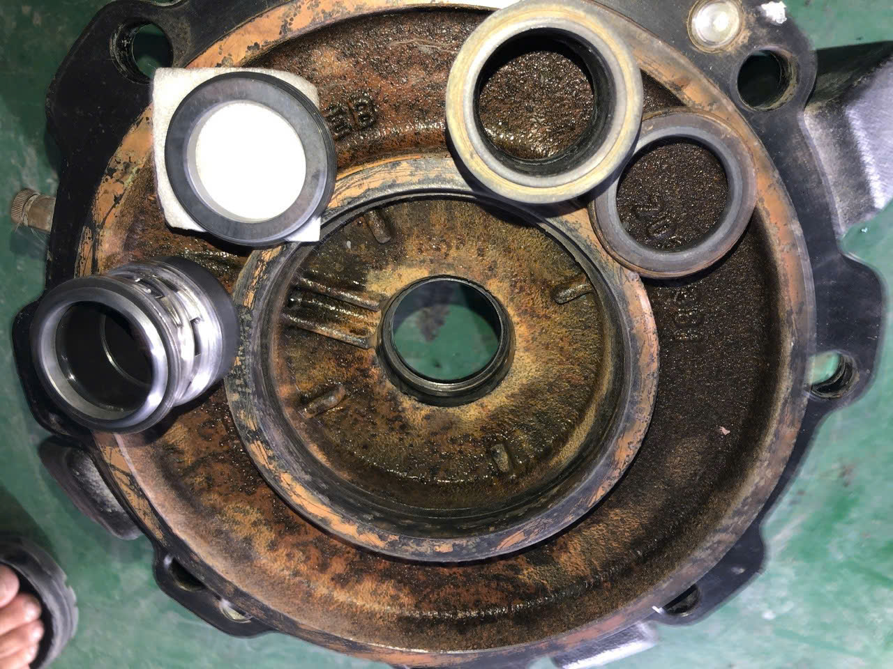 THAY THẾ PHỚT MÁY BƠM EBARA – NHỮNG LƯU Ý TỪ CHUYÊN GIA IPS.