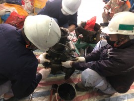 BẢO TRÌ MÁY BƠM CÔNG NGHIỆP TẠI BẮC NINH, BẮC GIANG – IPS ĐẢM BẢO HIỆU QUẢ VẬN HÀNH.