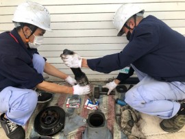 IPS BẢO DƯỠNG MÁY BƠM CÔNG NGHIỆP SỬ DỤNG TRONG HỆ THỐNG HVAC 