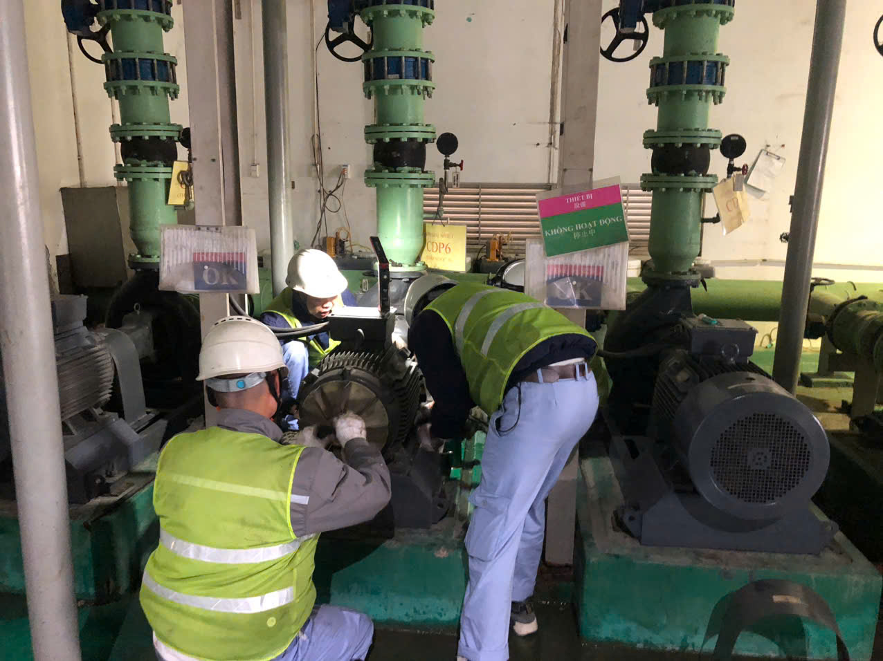 IPS: BẢO DƯỠNG MÁY BƠM EBARA GIÚP TĂNG TUỔI THỌ THIẾT BỊ.