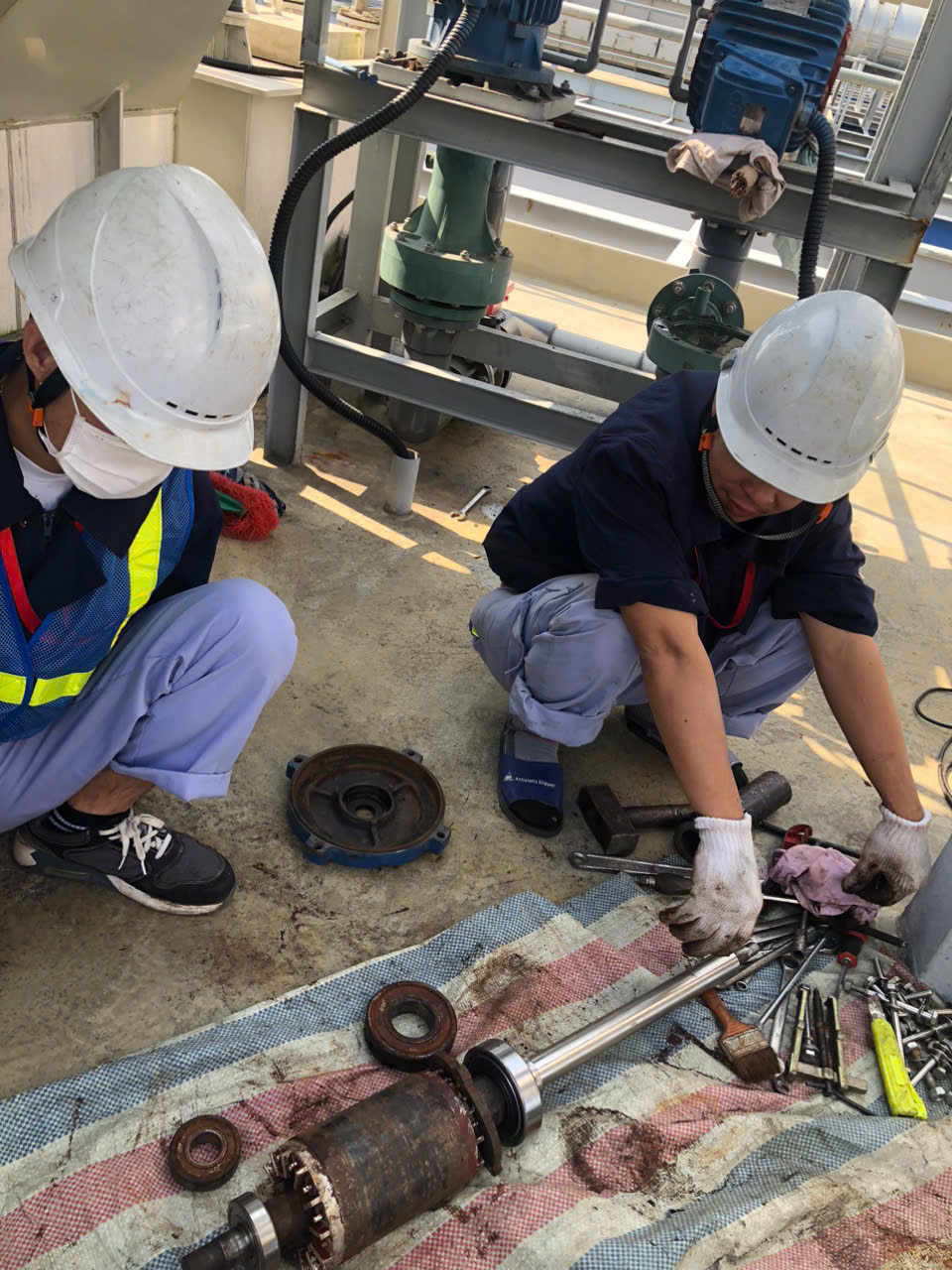 TRẢI NGHIỆM DỊCH VỤ BẢO TRÌ MÁY BƠM EBARA CHUYÊN NGHIỆP TẠI IPS.