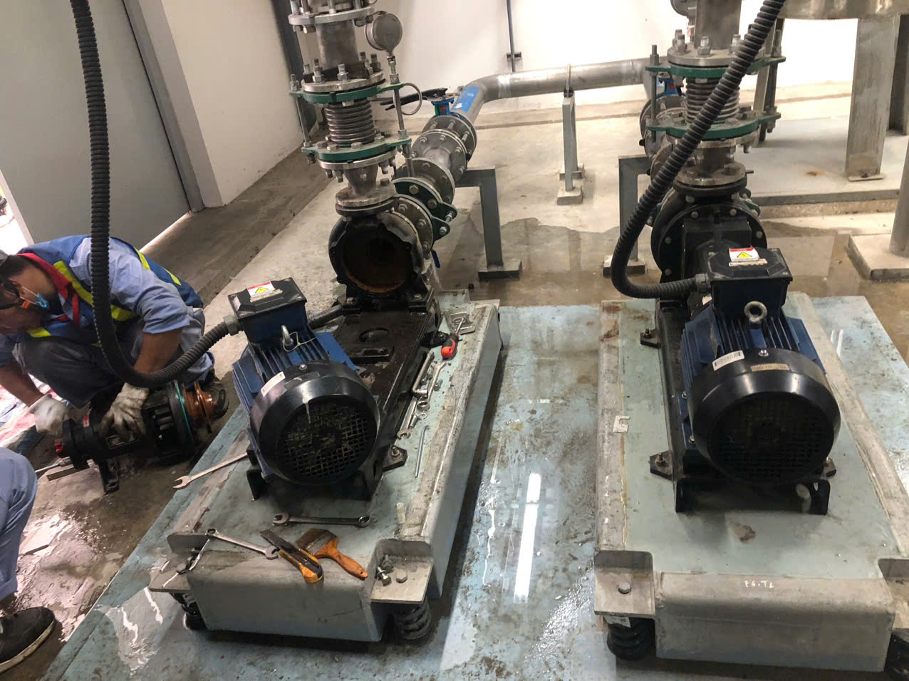 DỊCH VỤ TỐI ƯU HIỆU SUẤT MÁY BƠM CÔNG NGHIỆP CỦA IPS.