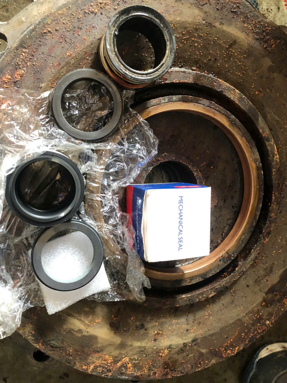 LƯU Ý QUAN TRỌNG KHI THAY PHỚT MÁY BƠM EBARA – DỊCH VỤ CHUYÊN NGHIỆP TẠI IPS.