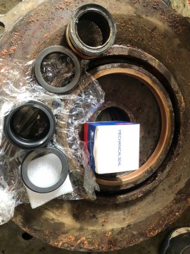 LƯU Ý QUAN TRỌNG KHI THAY PHỚT MÁY BƠM EBARA – DỊCH VỤ CHUYÊN NGHIỆP TẠI IPS.