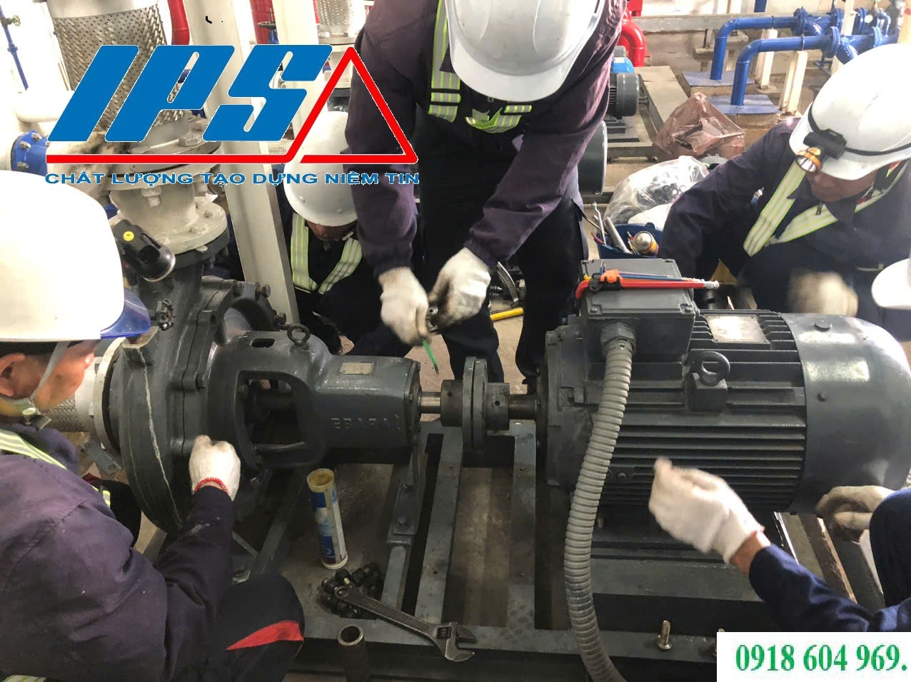 BẢO TRÌ ĐỘNG CƠ ĐIỆN MÁY BƠM CÔNG NGHIỆP: NHỮNG VIỆC CẦN THỰC HIỆN.