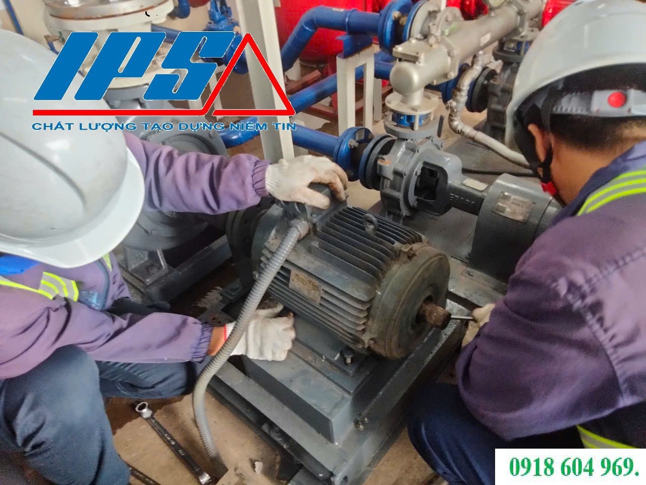 KHI NÀO CẦN KIỂM TRA RUNG ĐỘNG MÁY BƠM? QUY TRÌNH CHẨN ĐOÁN CHUẨN CHUYÊN GIA TỪ IPS.
