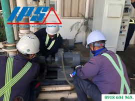 NÂNG CAO TUỔI THỌ MÁY BƠM CHO NHÀ MÁY NHẬT TẠI MIỀN NAM – GIẢI PHÁP VẬN HÀNH BỀN BỈ VÀ HIỆU QUẢ.