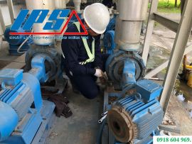 IPS – DỊCH VỤ BẢO TRÌ MÁY BƠM TOÀN DIỆN CHO KCN. TỪ KIỂM TRA ĐẾN PHỤC HỒI – GIẢI PHÁP CHUYÊN NGHIỆP, TỐI ƯU CHI PHÍ.